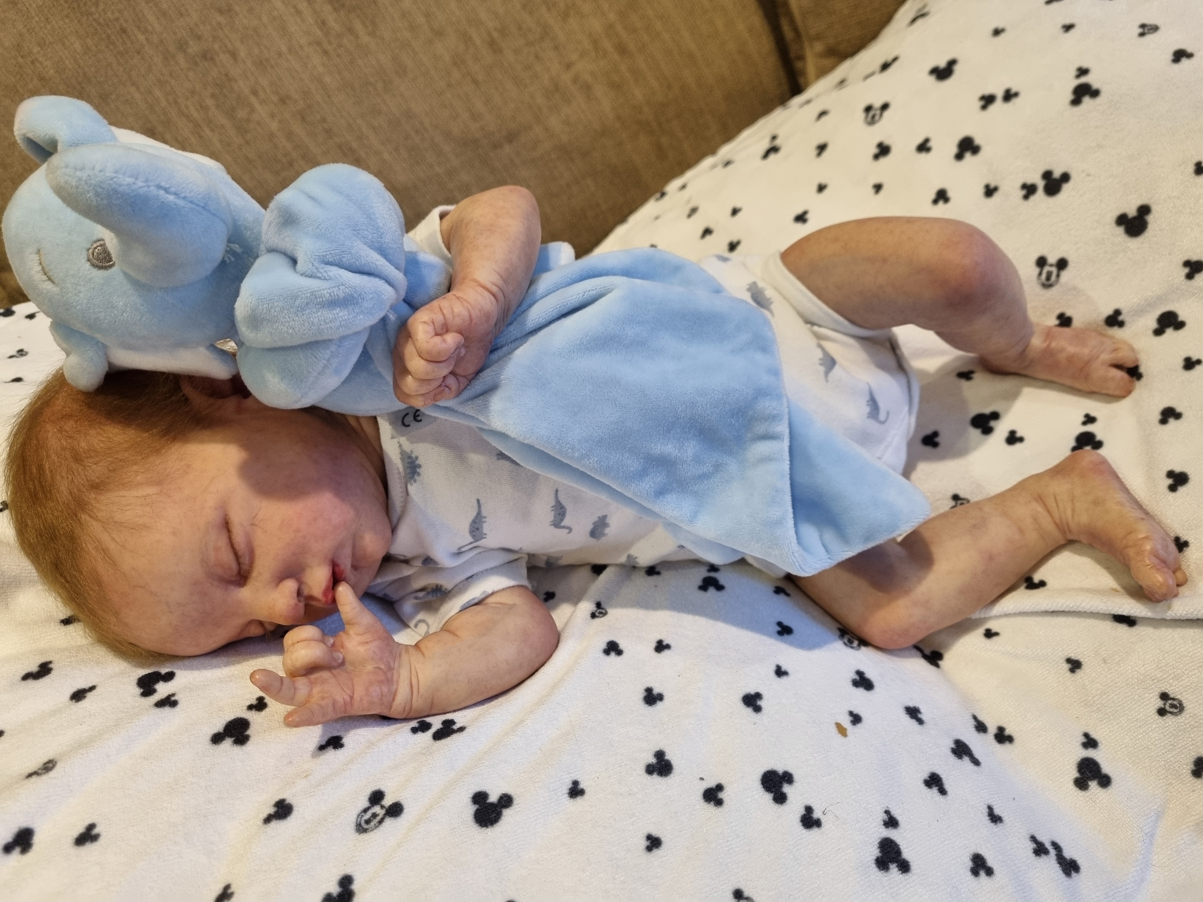 EVANGELINE by Laura Lee Eagles  thumbnail 6