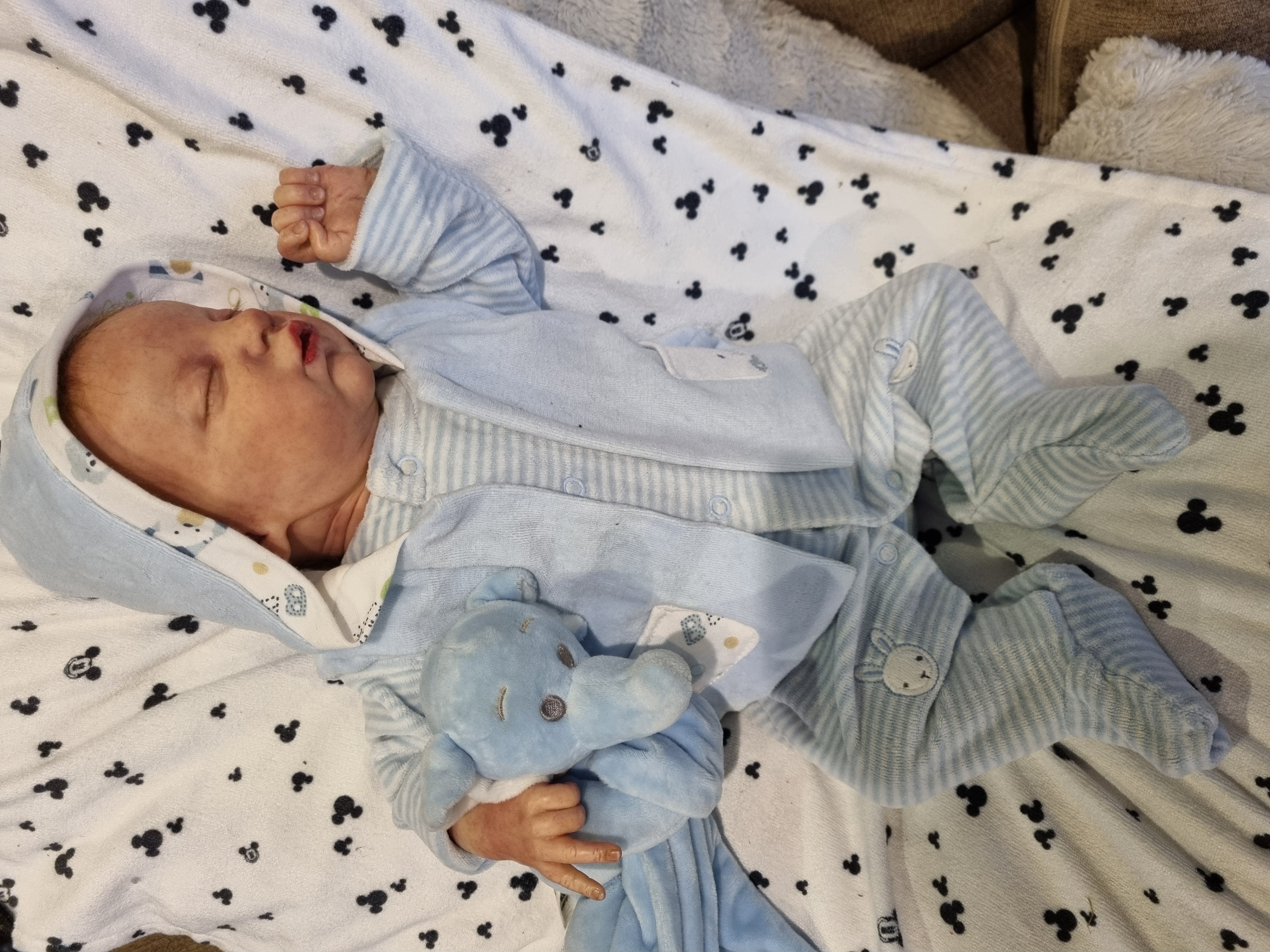 EVANGELINE by Laura Lee Eagles  thumbnail 9
