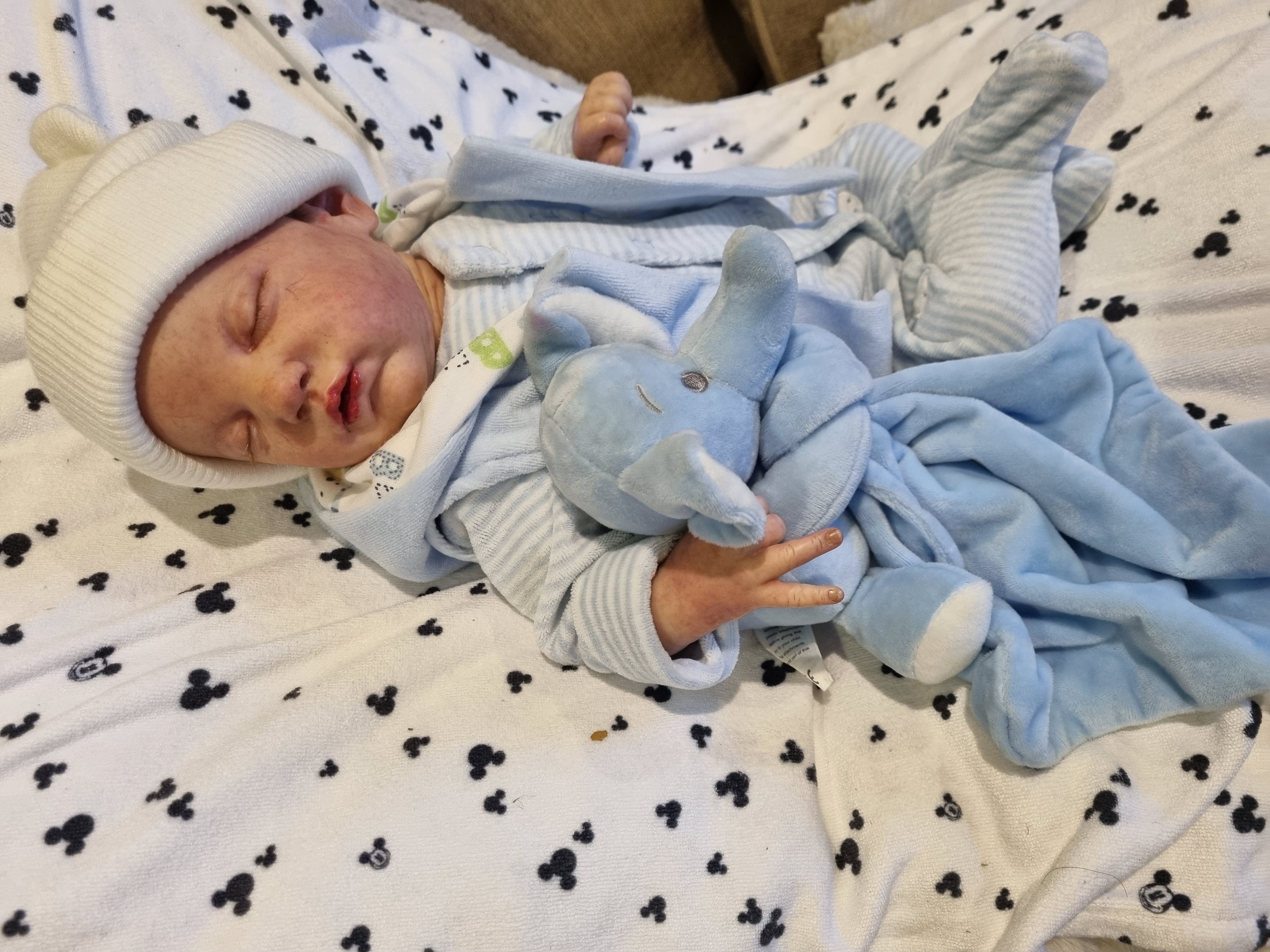 EVANGELINE by Laura Lee Eagles  thumbnail 10
