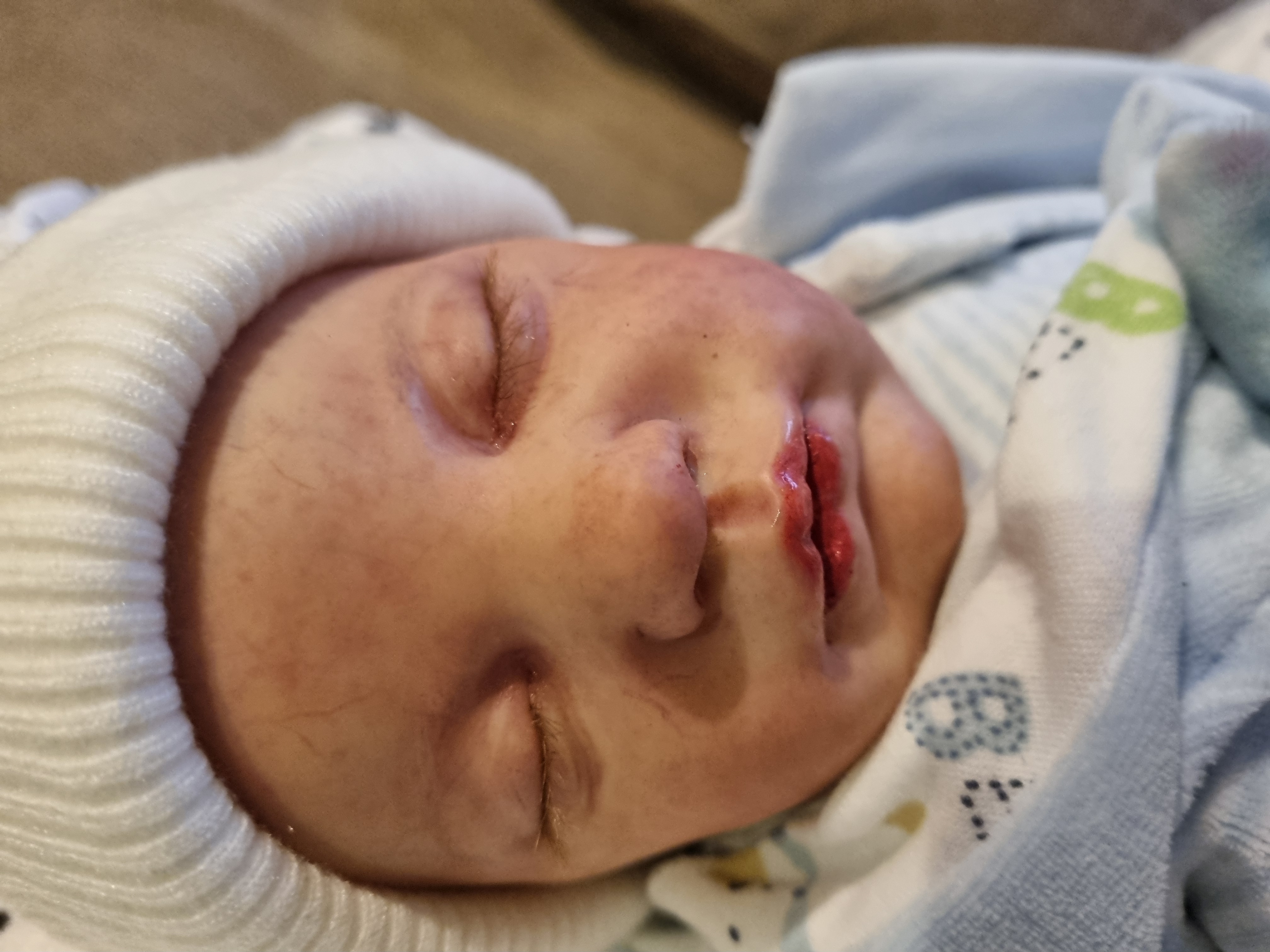 EVANGELINE by Laura Lee Eagles  thumbnail 11