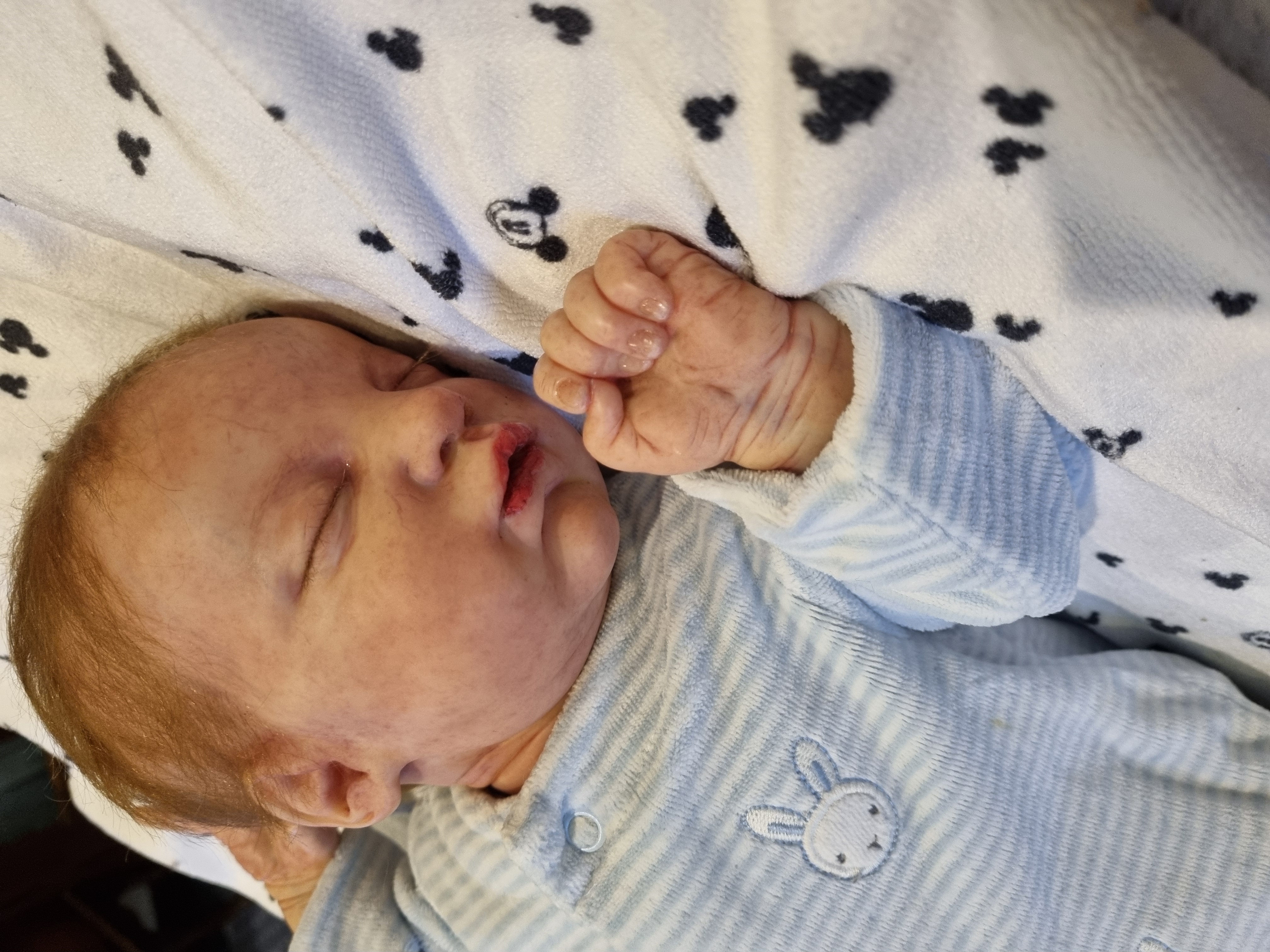Handcrafted reborn doll - EVANGELINE by Laura Lee Eagles 