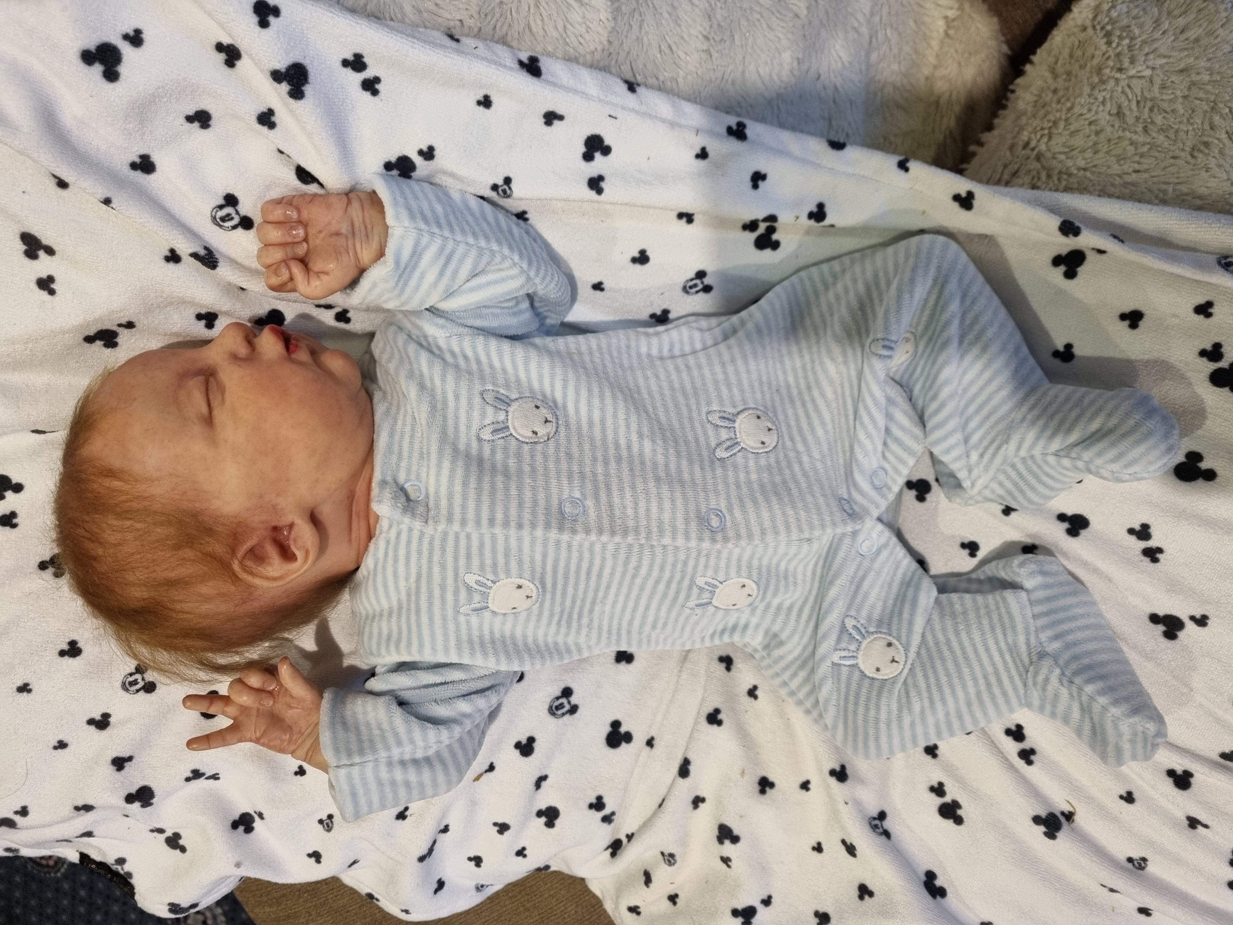 EVANGELINE by Laura Lee Eagles  thumbnail 2