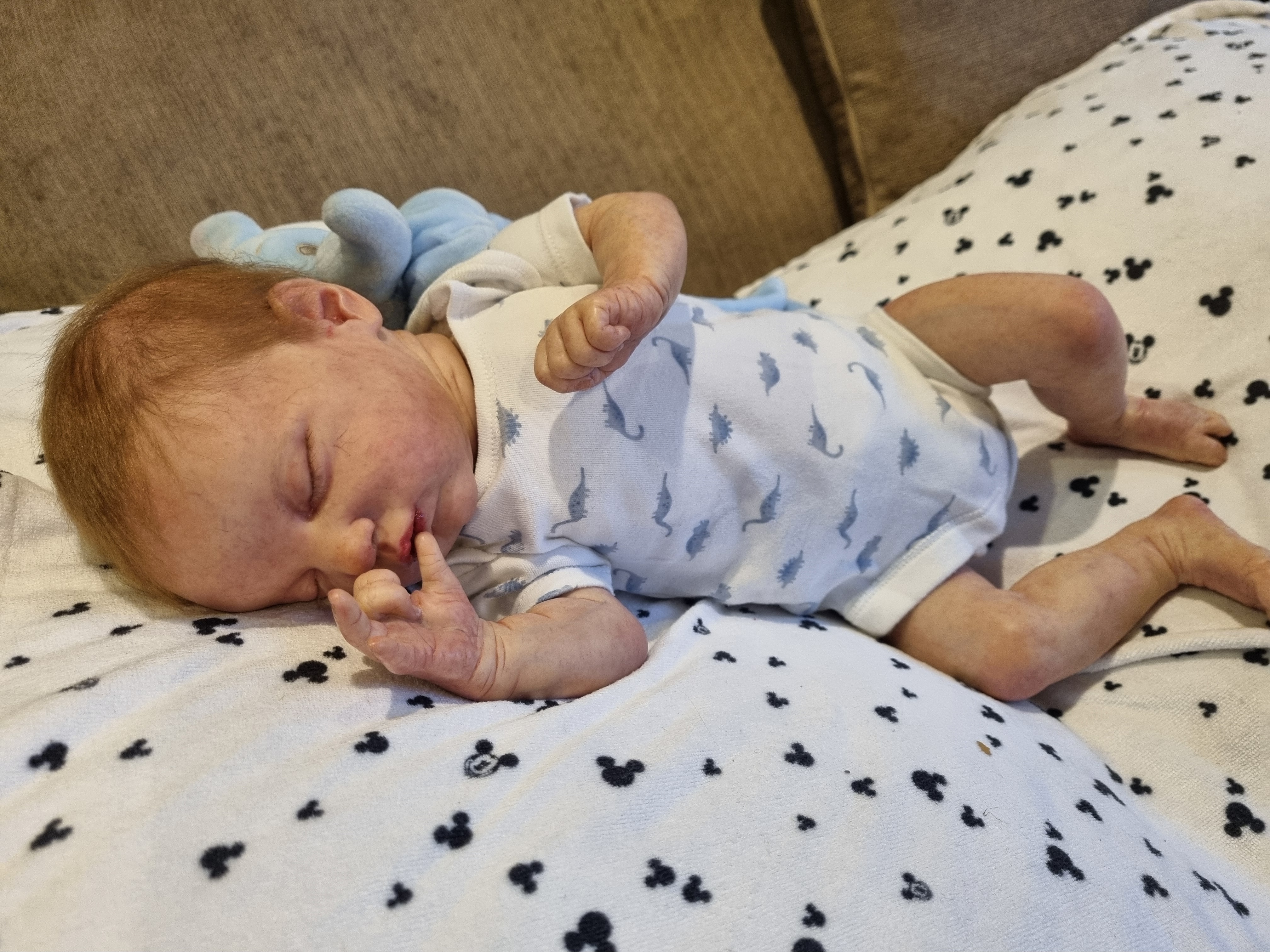 EVANGELINE by Laura Lee Eagles  thumbnail 13