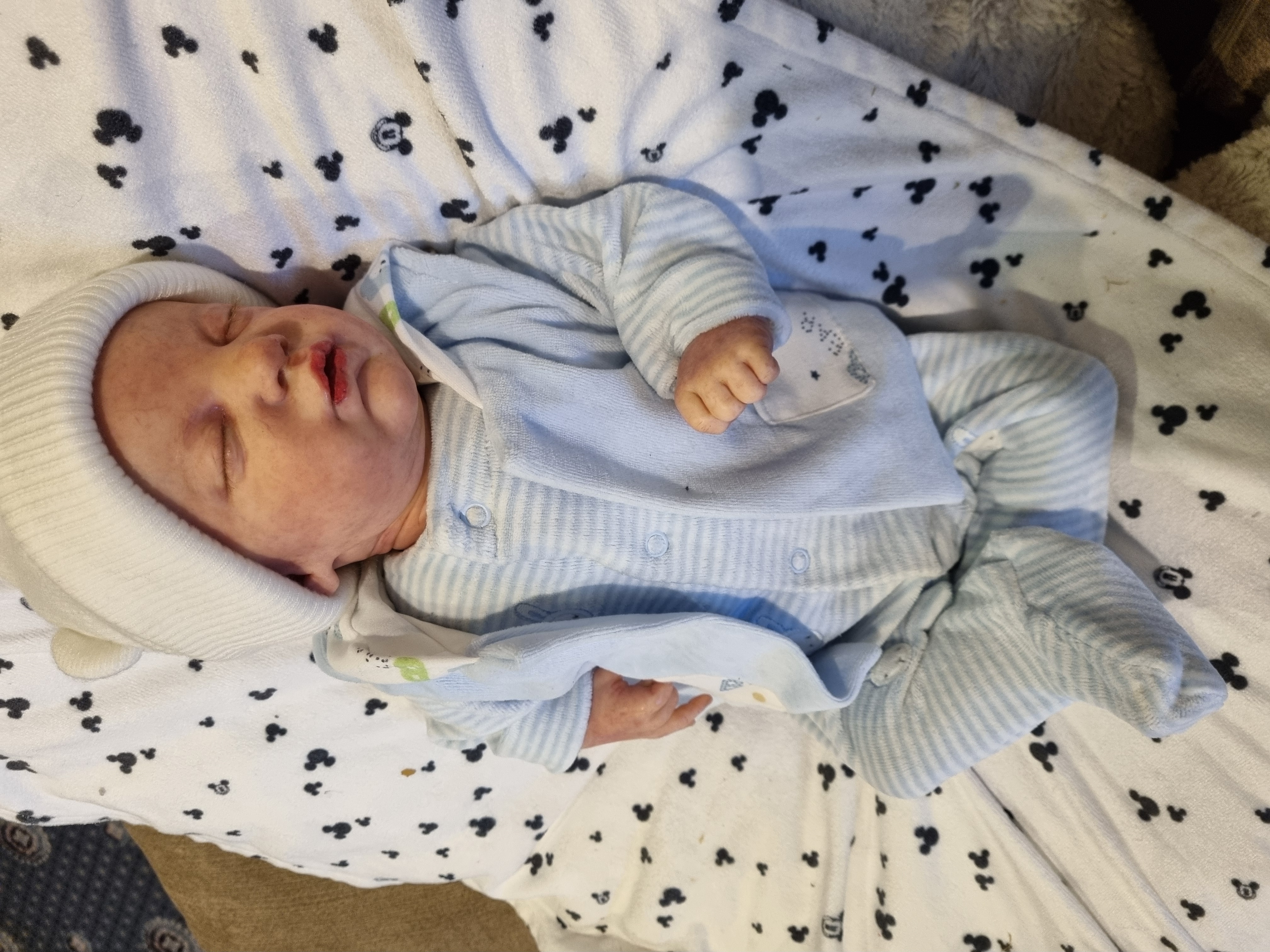 EVANGELINE by Laura Lee Eagles  thumbnail 8