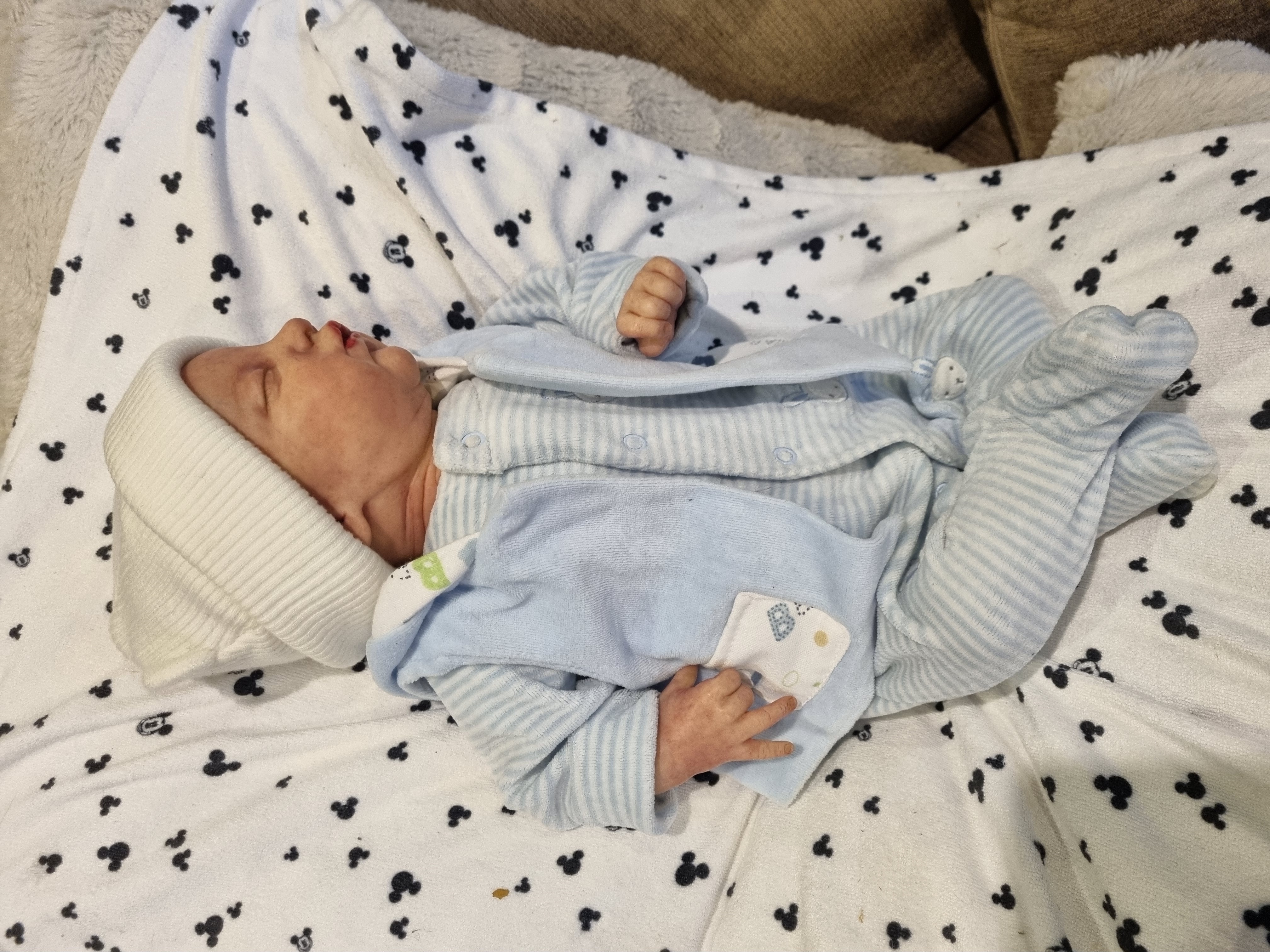 EVANGELINE by Laura Lee Eagles  thumbnail 7