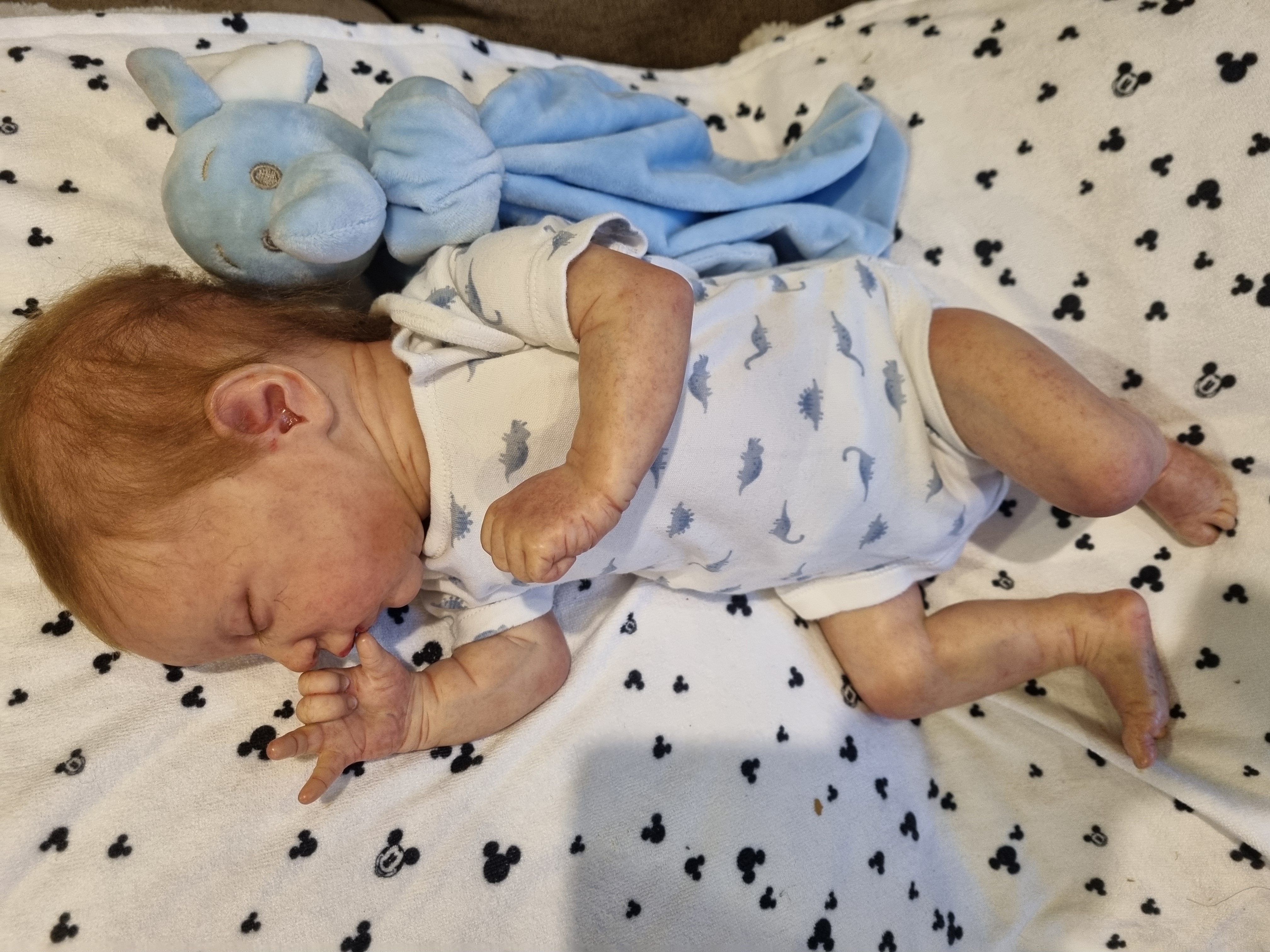 EVANGELINE by Laura Lee Eagles  thumbnail 12
